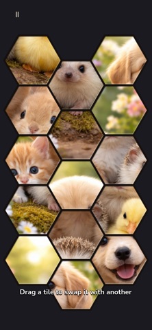 Mosaic Slide Screenshot 1 of 9