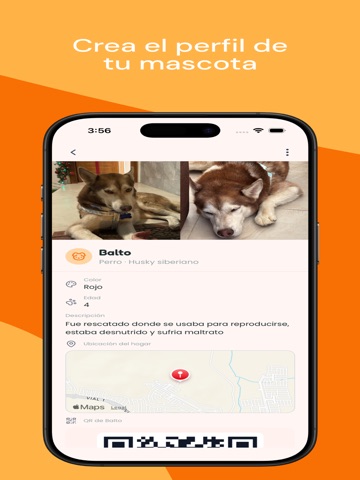 Pet-Meet iPad screenshot