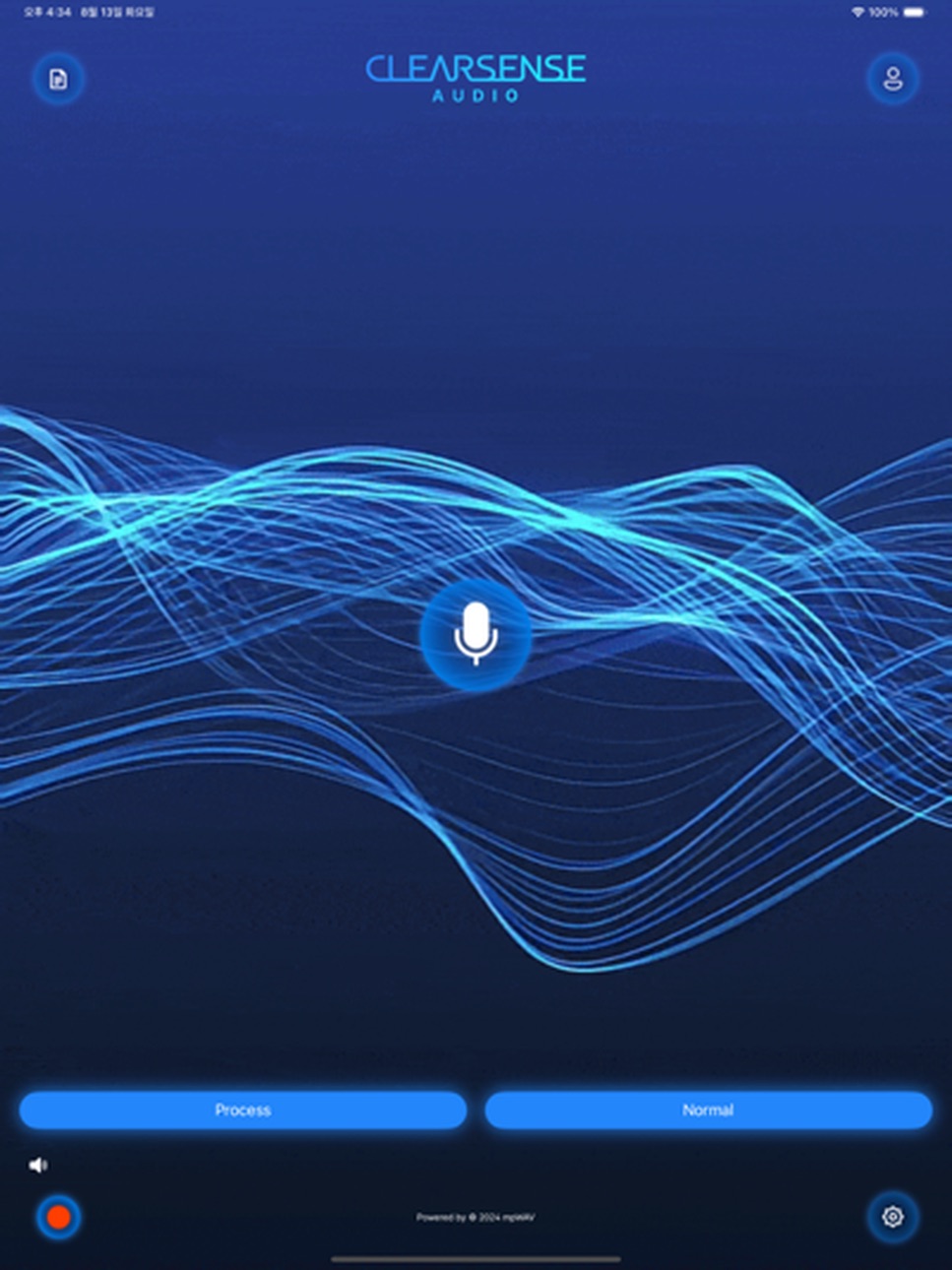 iPad screenshot