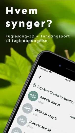 Fuglelyder – What Bird ID iPhone-skjermbilde 1
