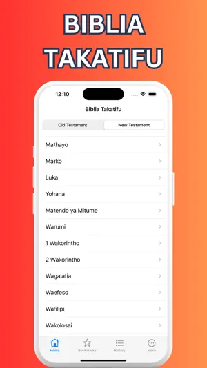 Biblia Takatifu Swahili Bible screenshot 2