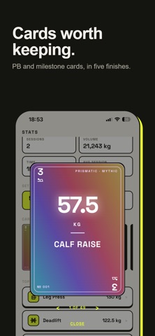 Set Deck: Gym Workout Log screenshot