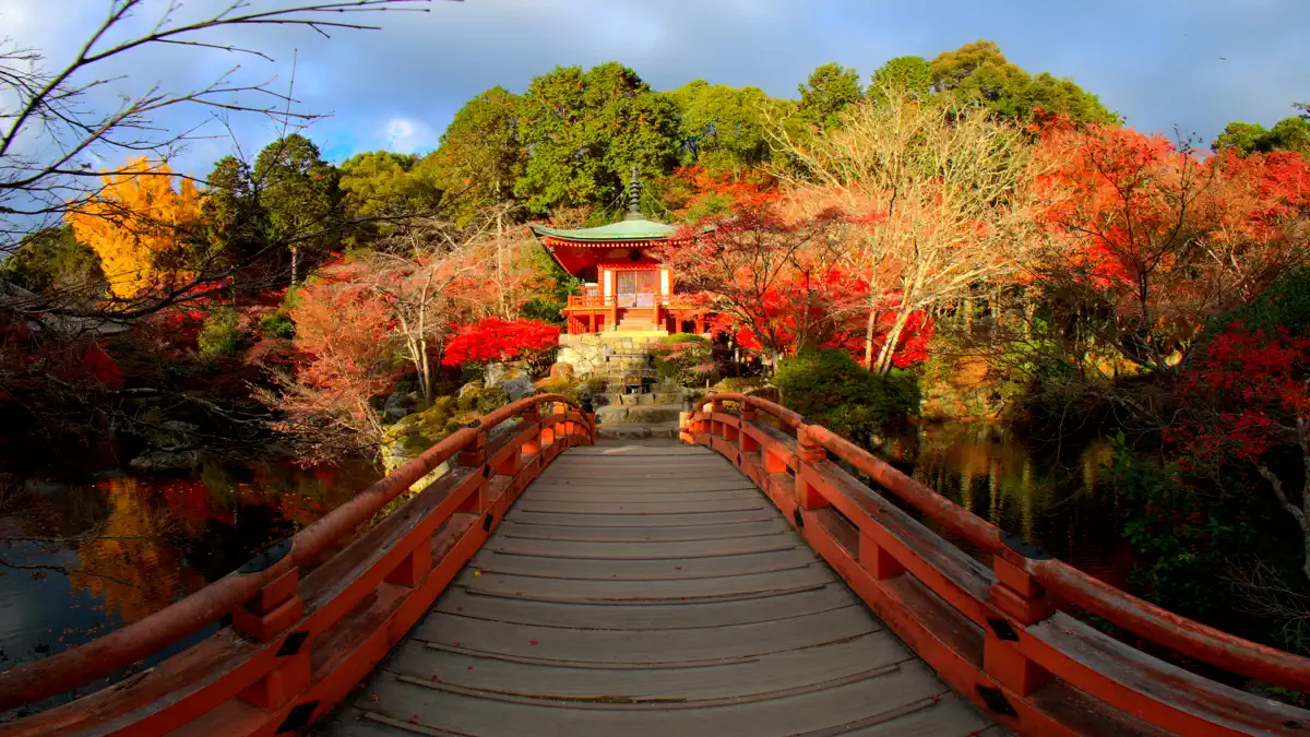 Explore POV screenshot 3