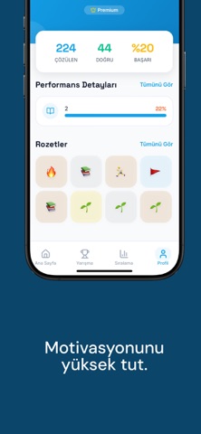 YDS Cards screenshot