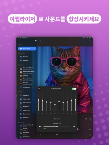 Evermusic: 오프라인 음악 재생기 및 이퀄라이저 iPad screenshot 3