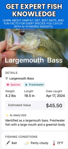 Fish identification Screenshot 7 of 7