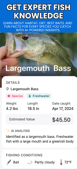 Fish identification Screenshot 7 of 7