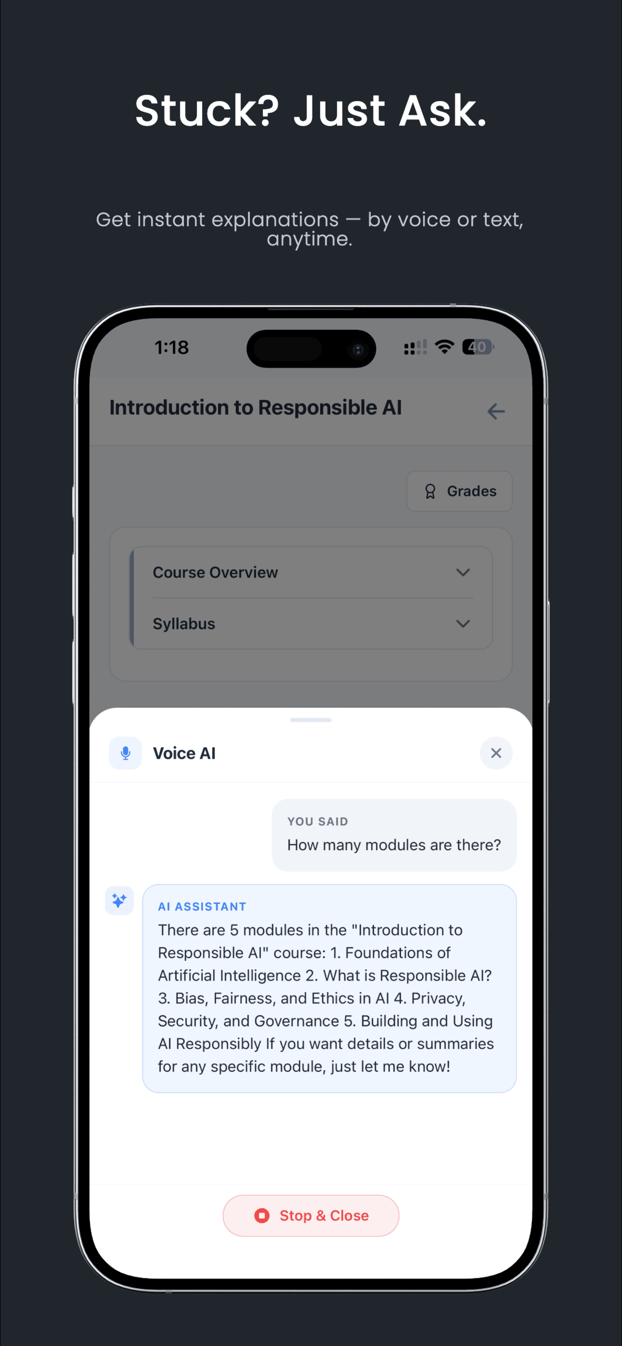 AI LMS Student Portal screenshot 3