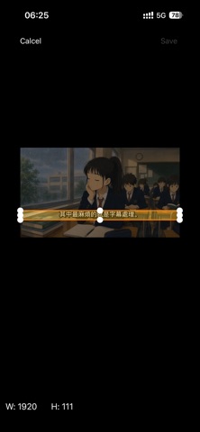 OCR Subtitle Screenshot 6 of 8