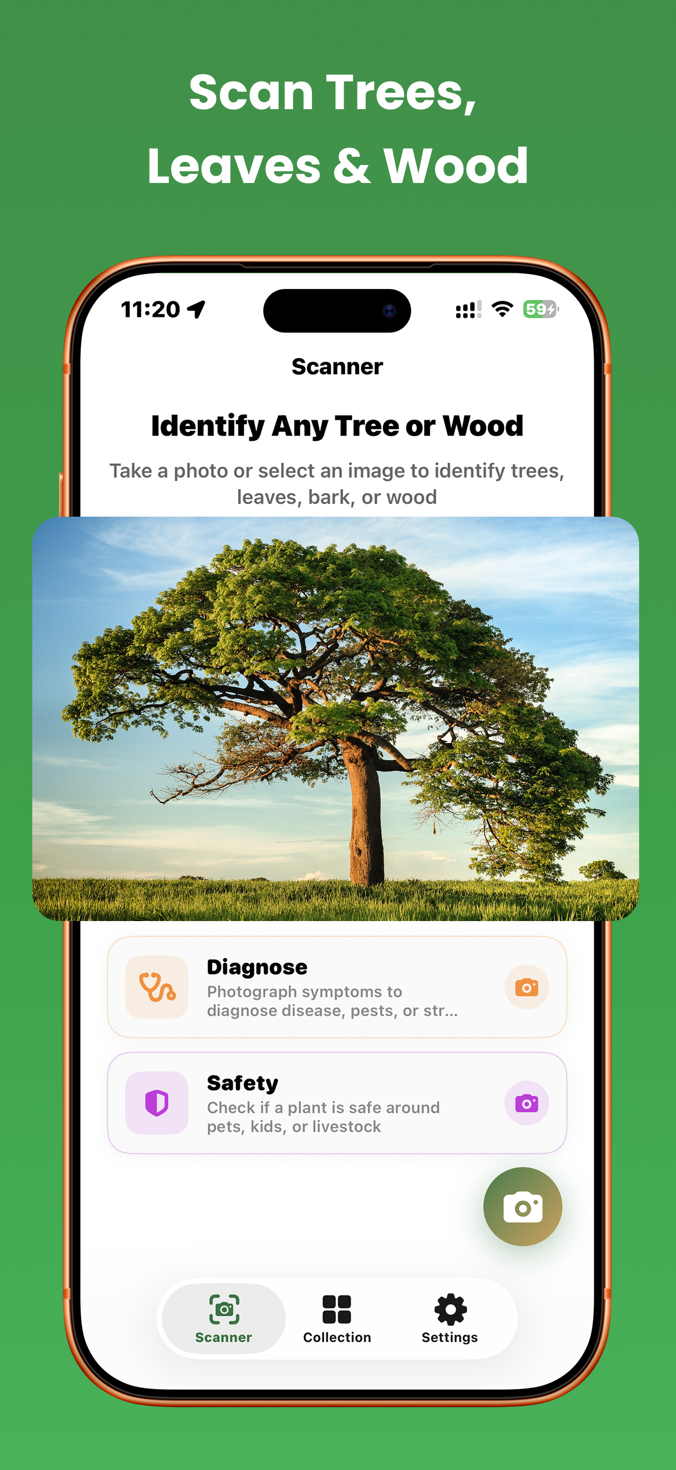 Tree Identifier: Wood & Leaf screenshot 4