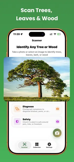 Tree Identifier: Wood & Leaf screenshot 4