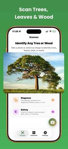 Tree Identifier: Wood & Leaf screenshot
