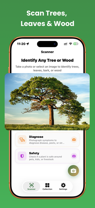 Tree Identifier: Wood & Leaf Screenshot 4 of 5