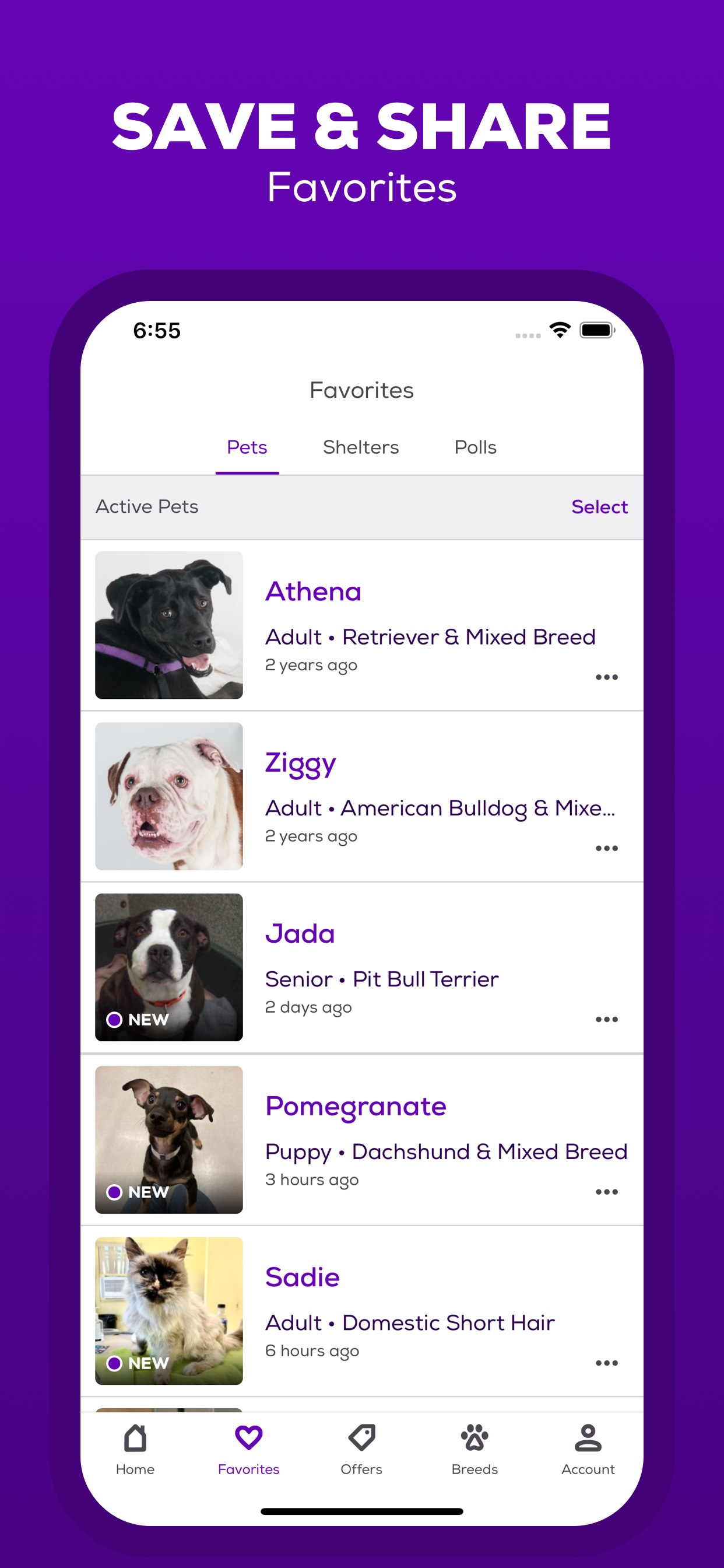 Petfinder - Adopt a Pet