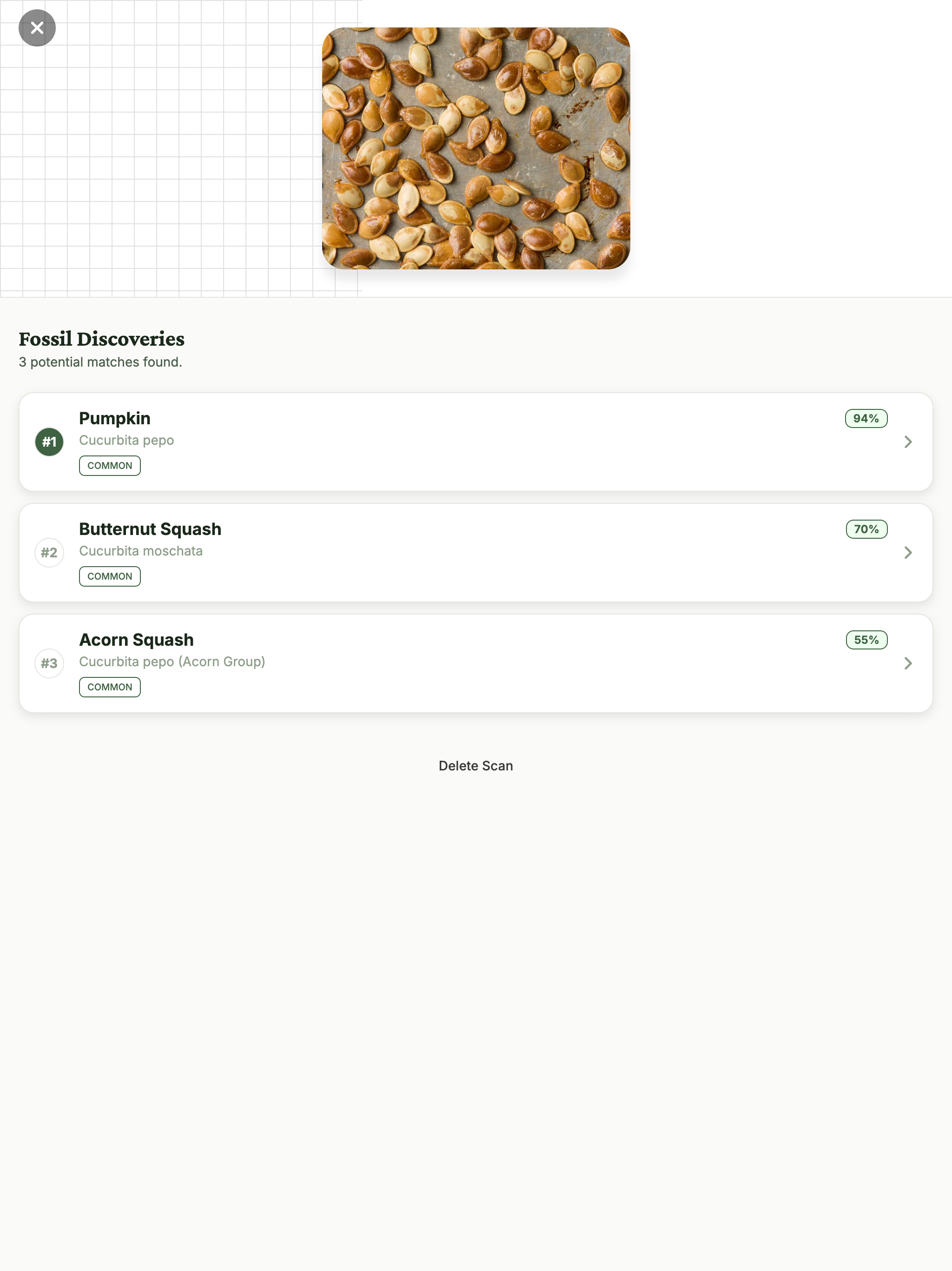 Seed Identifier: Seed ID