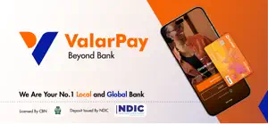 ValarPay-Local & Global Bank screenshot 1