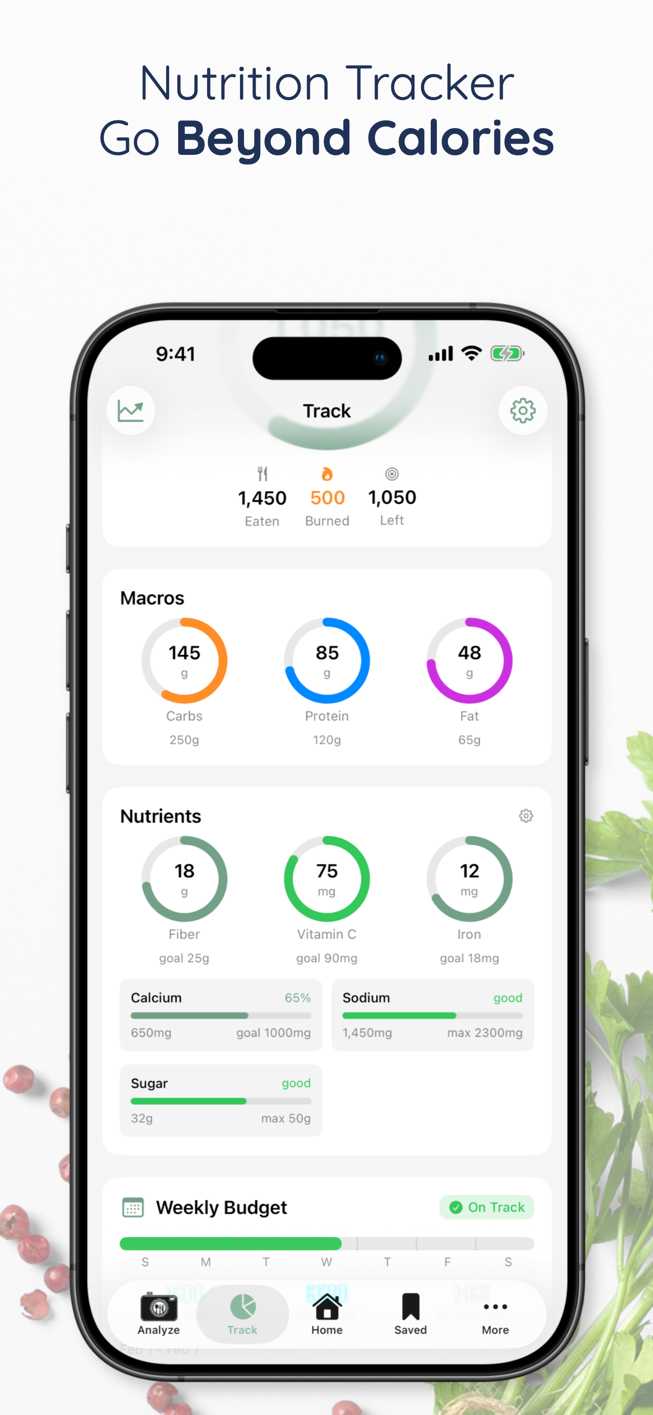 InaSnap! - Recipe Nutrition
