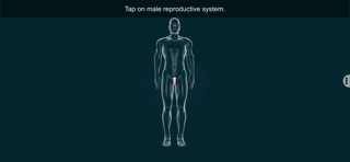 Male Repro Sys - EduTech Era screenshot