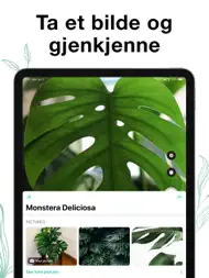 Plant Air: Identifiser planter ipad bilder 3