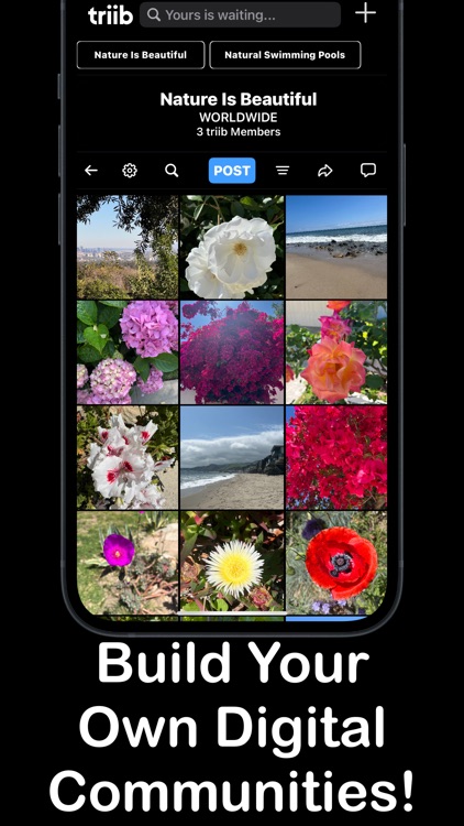 triib - Yours is Waiting!