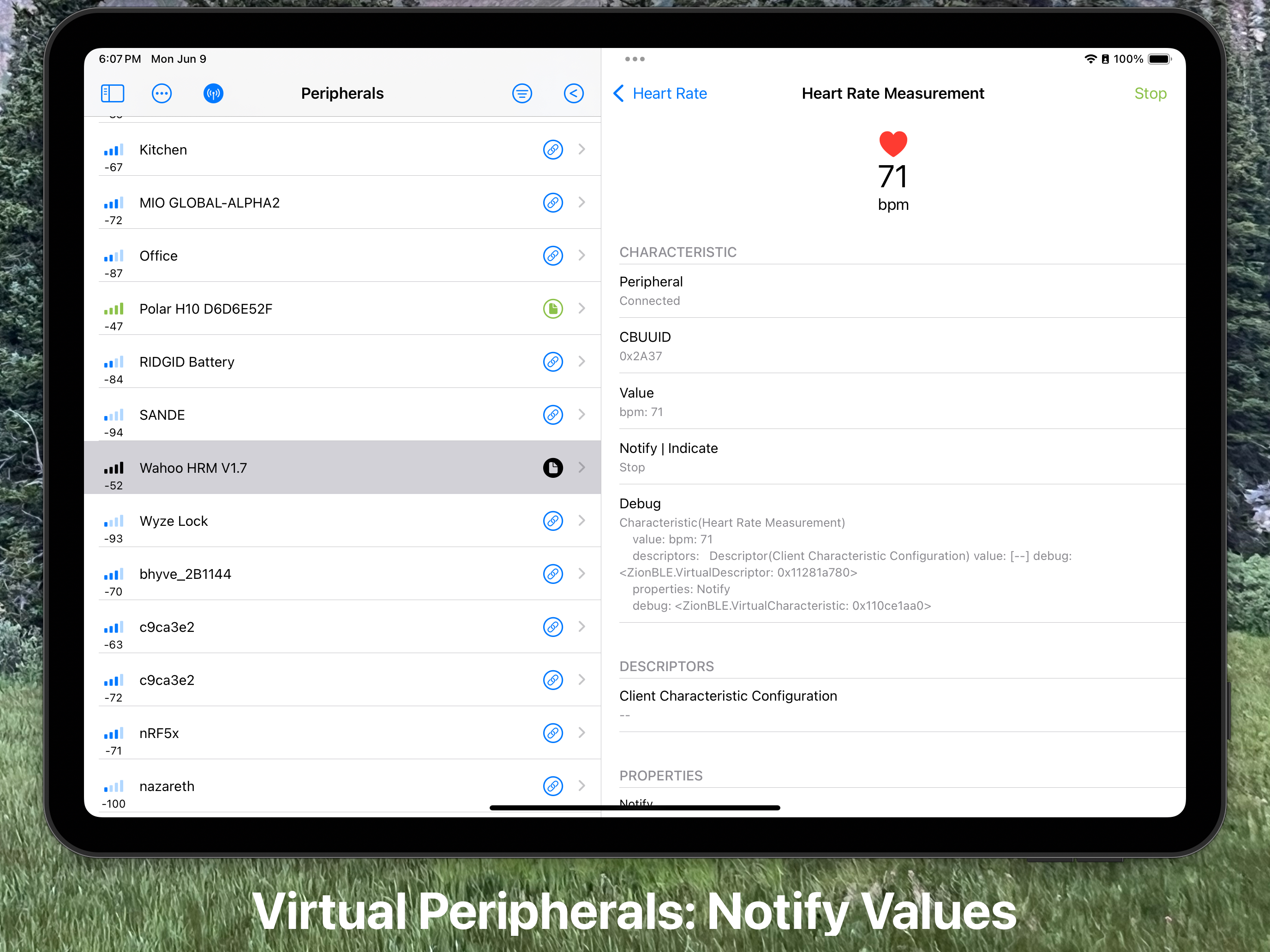 BluKit Workbench screenshot 14