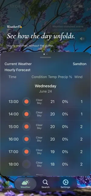 WeatherFlo screenshot 3