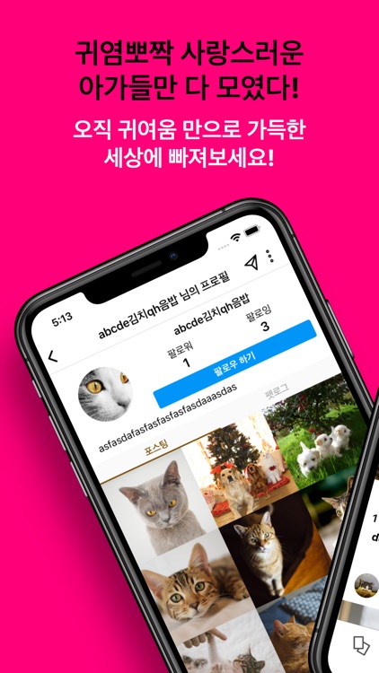 So Cutie - 귀여운 동물 SNS 커뮤니티