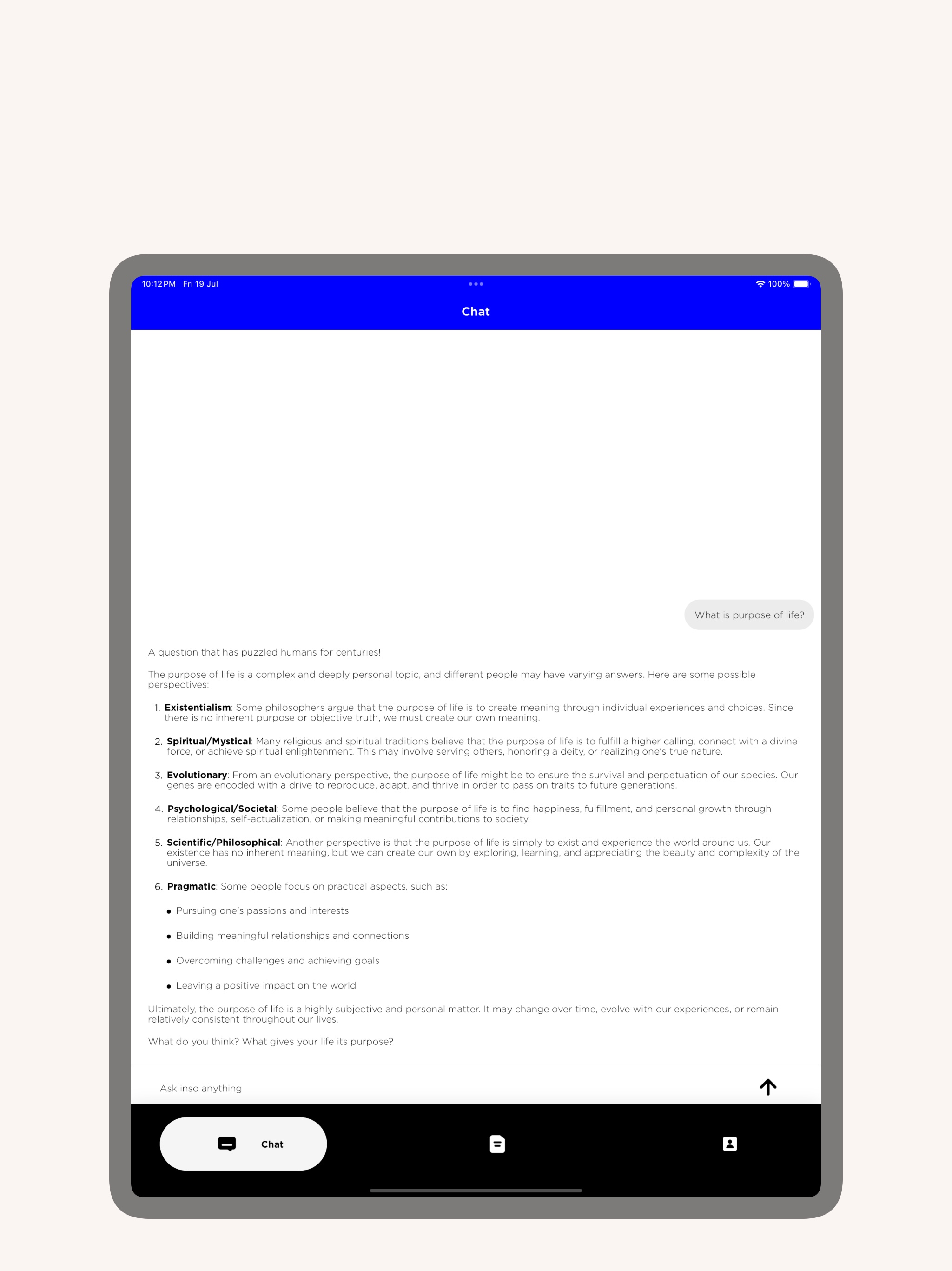 INSO - Private AI