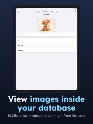 Access Database Viewer: MDB AI App Store preview screenshot 10