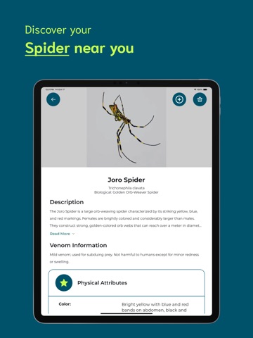 Spider Identifier - SI iPad screenshot