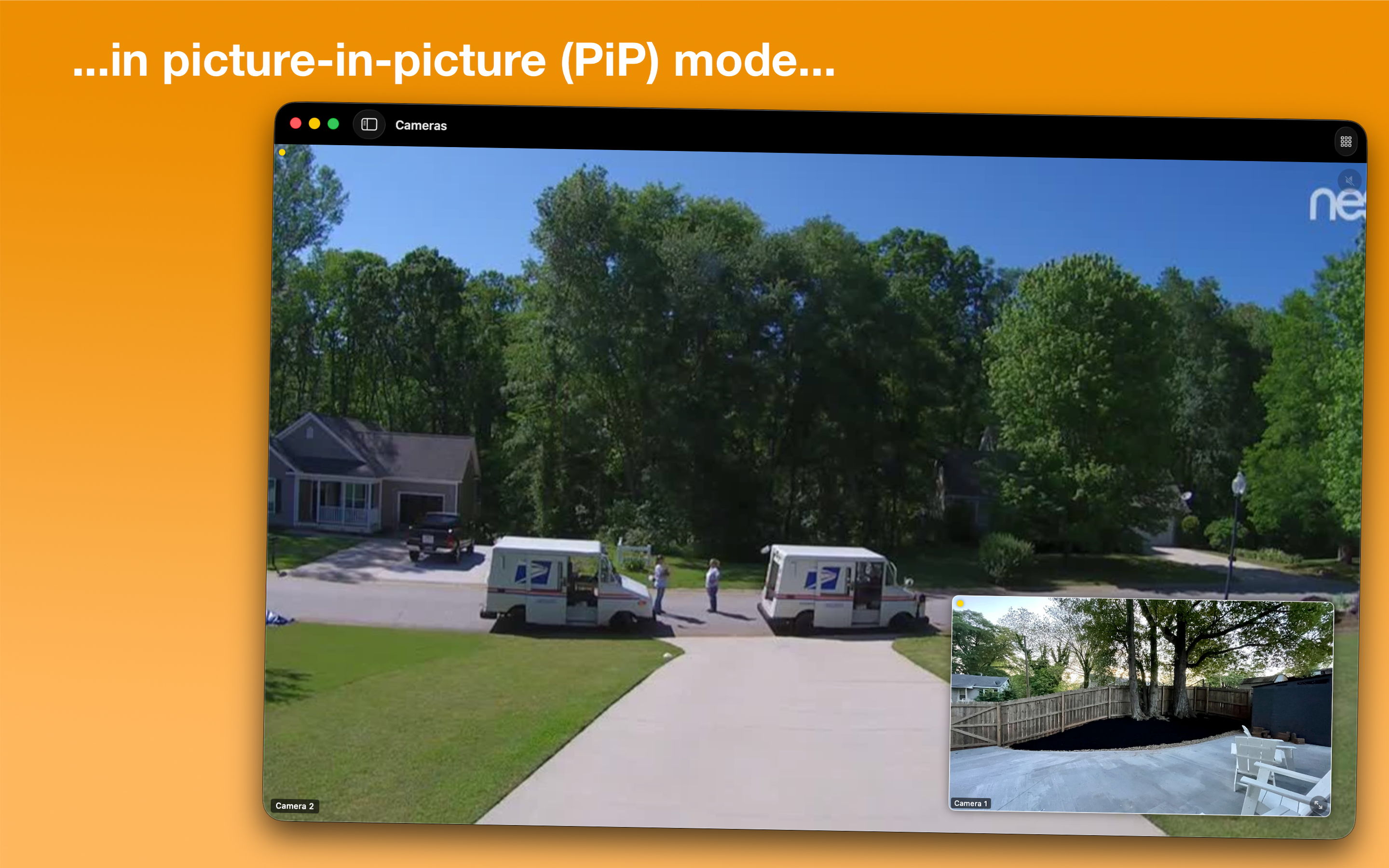 Multiple Camera Viewer