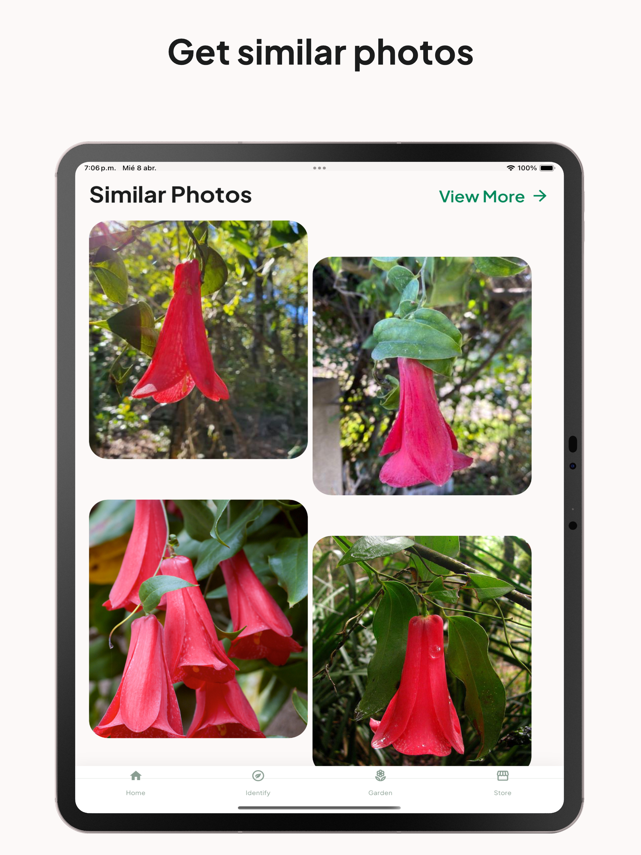 Plantreveal screenshot 10