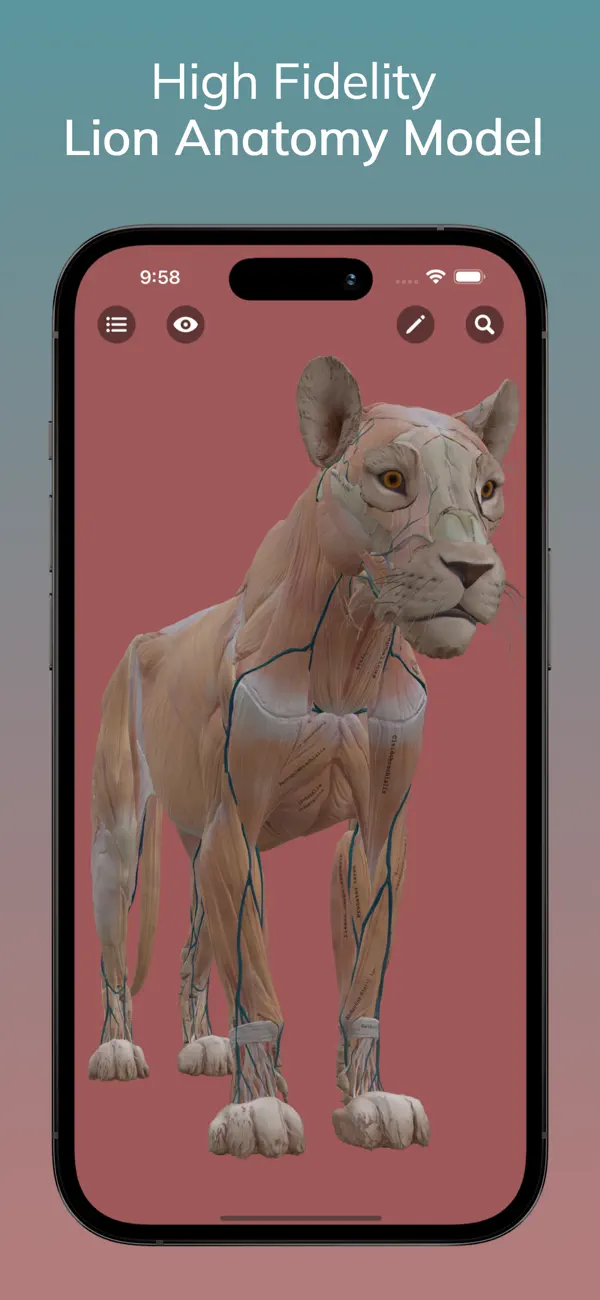 Screenshot #1 pour Lion Anatomy for Artists