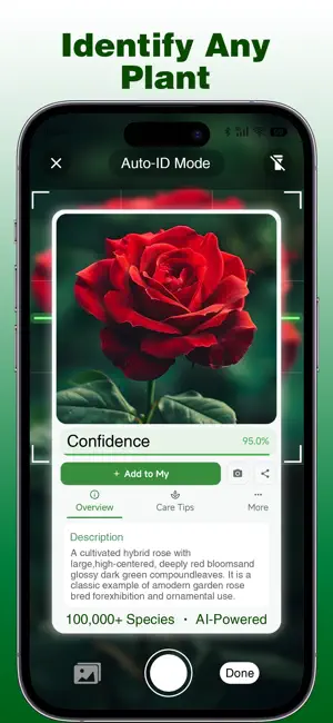 Plant Identifier - PlantAiSnap screenshot 1