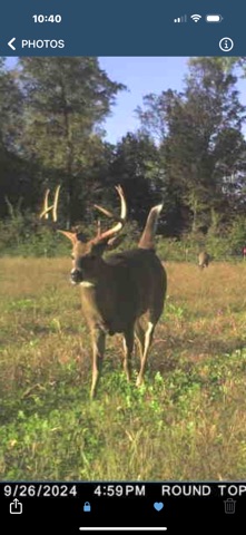 Cuddeback Screenshot 2 of 9