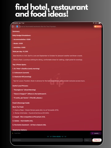 AI Trip Planner iPad screenshot