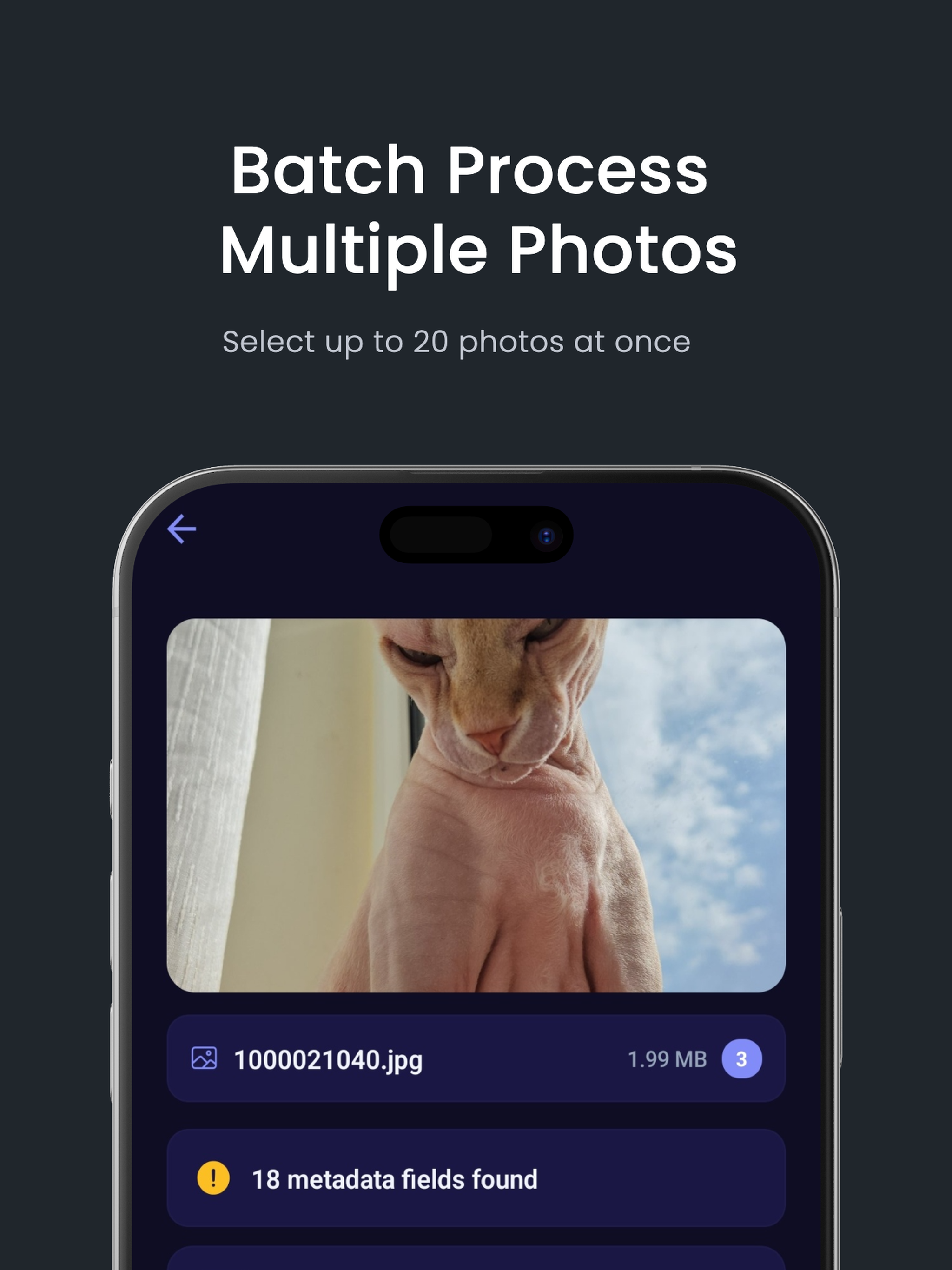 Exif Cleaner: Remove Metadata
