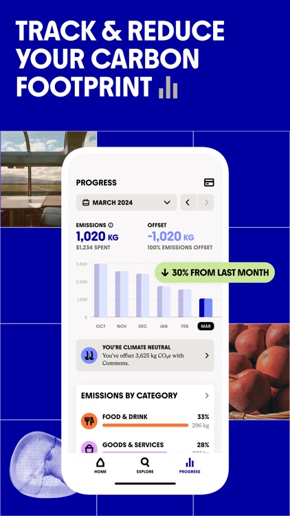 Commons: Sustainable Spending screenshot-1