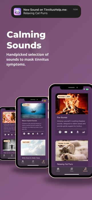 TinnitusHelp.me Screenshot 3 of 6