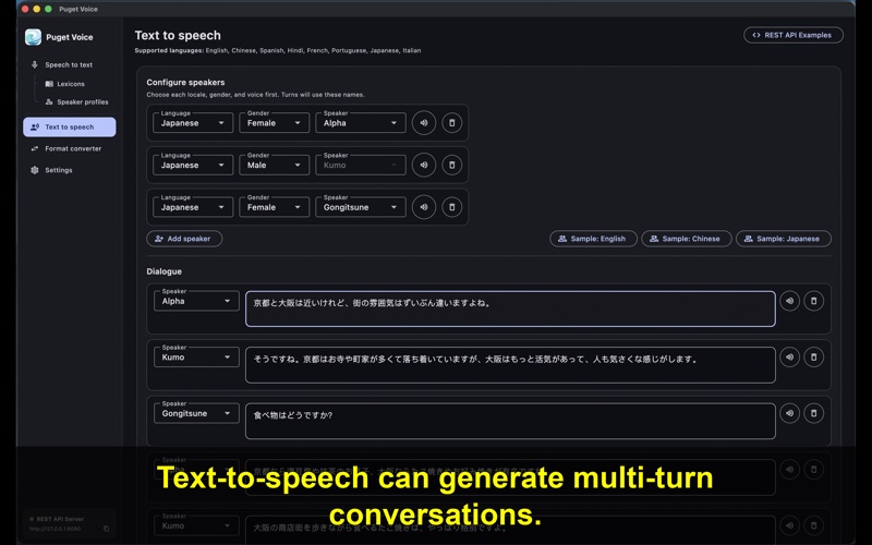 Puget Voice screenshot