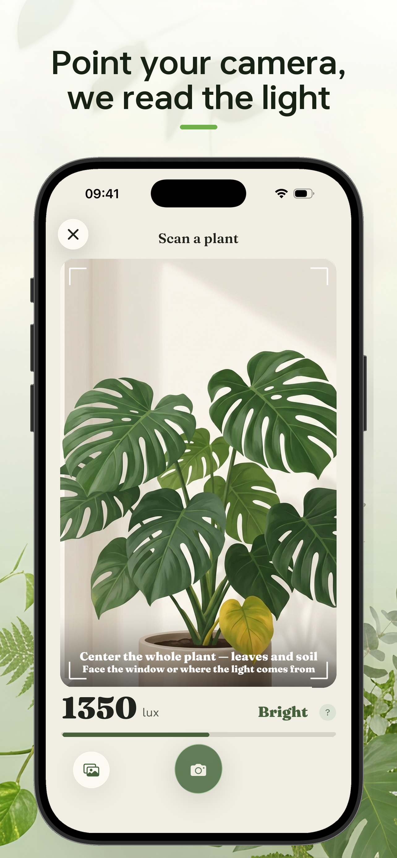 Plumula: AI Plant Doctor screenshot 2