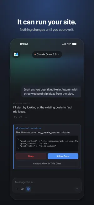 Workspace for WordPress screenshot 2