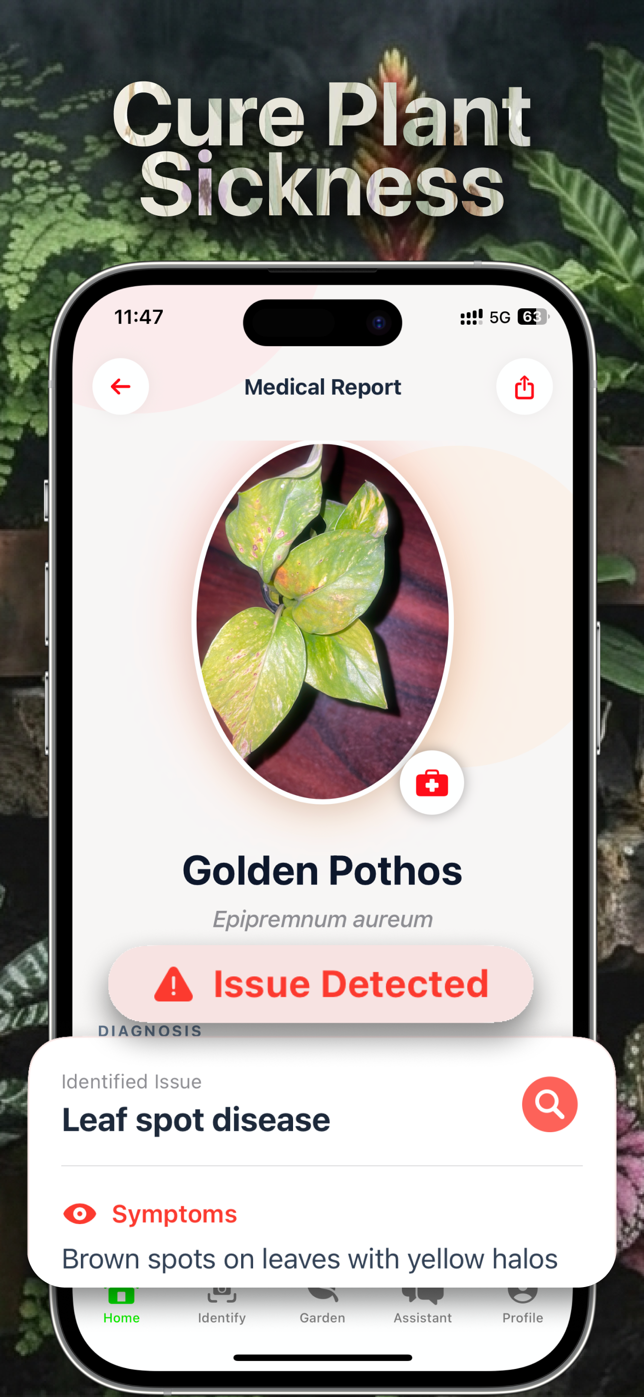 Plant Identifier: Care Plant