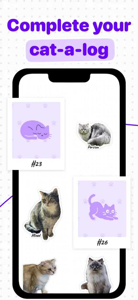 Cat Identifier: Catsnap - Reference App | MWM
