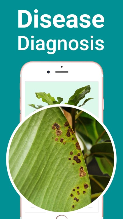 Plant Identifier - Diagnosis