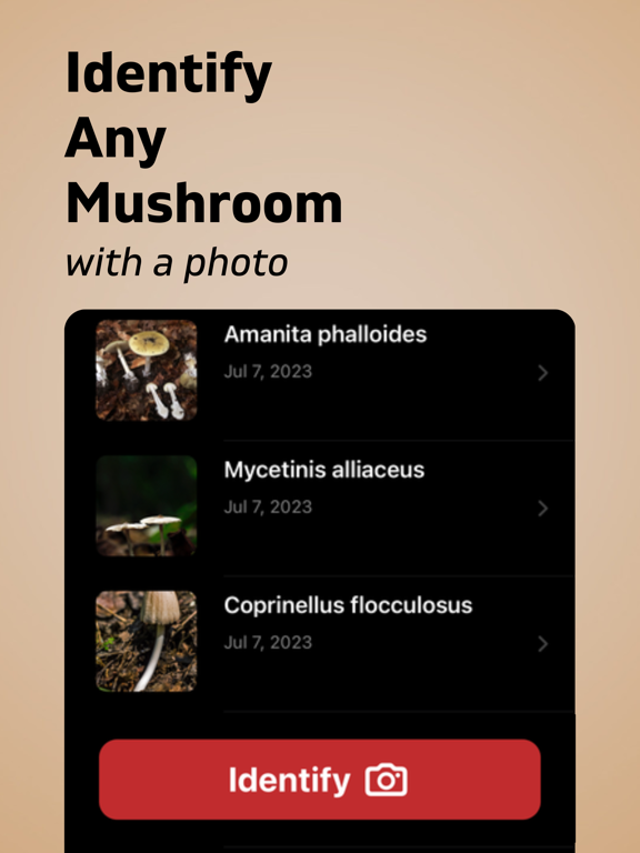 Mushroom Identifier AI iPad screenshot