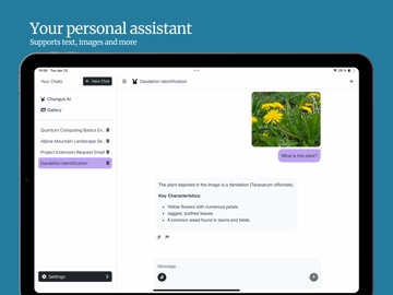 Chungus AI: Fast AI Assistant iPad screenshot