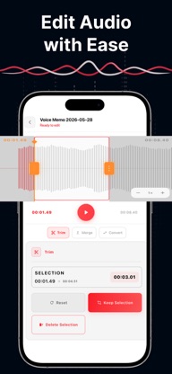Voice Memo - Mic To Speaker screenshot 4