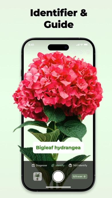 My Plant: AI Identitier Screenshot