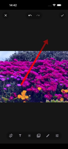 Gamma: Photo Editor Screenshot 3 of 8